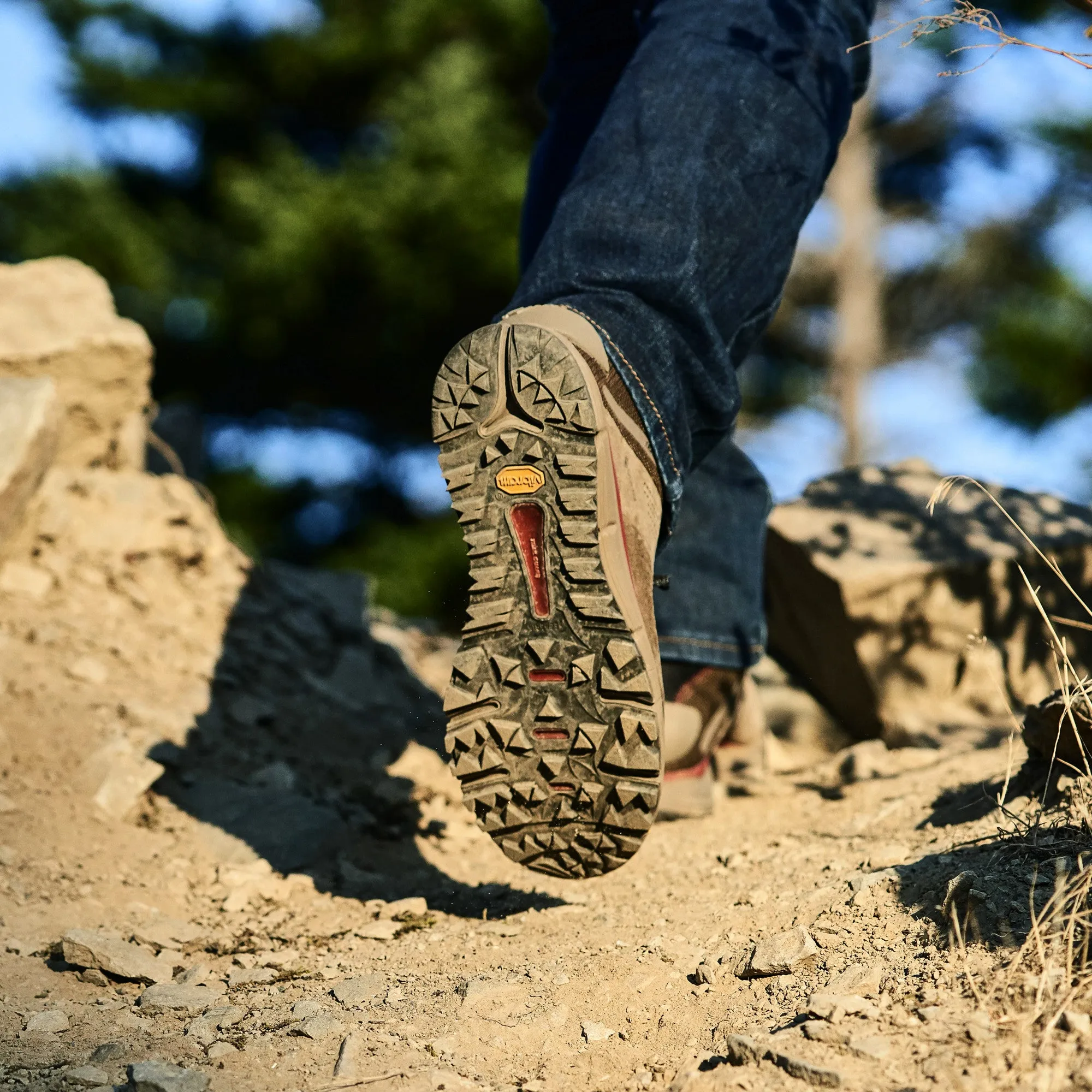 Danner Men's Trail 2650 GTX Mid 4" WP Hiking Shoe - Olive - 61240